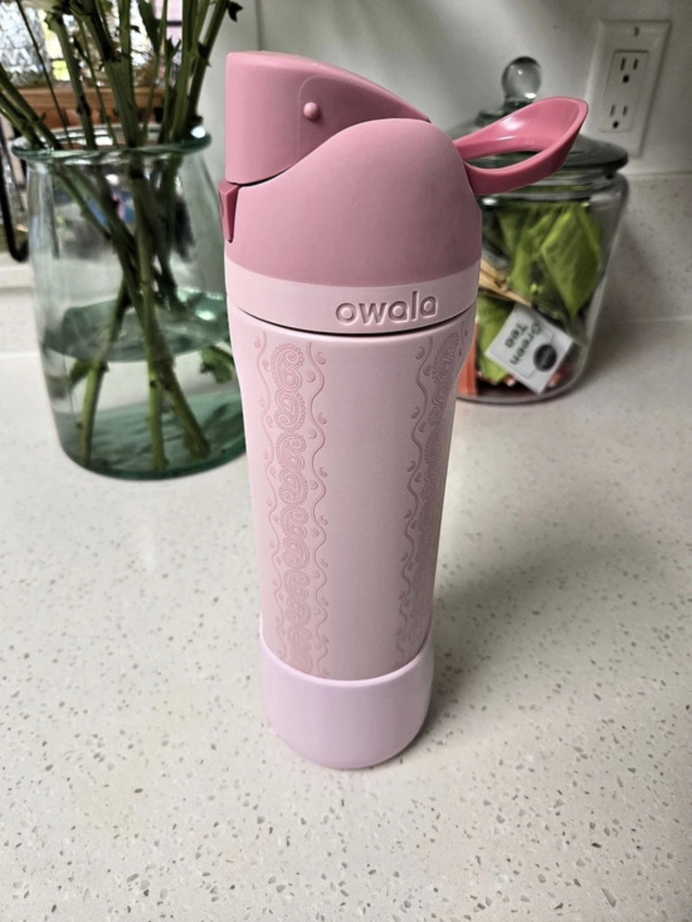 Owala FreeSip Stainless Steel Water Bottle - Painted Canyon Pink